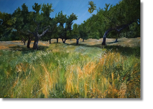 Greek Olive Grove
oil on canvas
100 x 70 cm